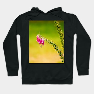 122515 honey and pea Hoodie